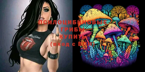 apvp Алексеевка