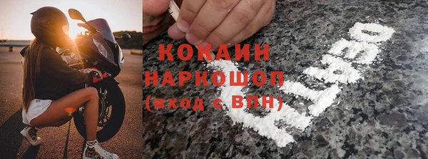 дмт Пересвет