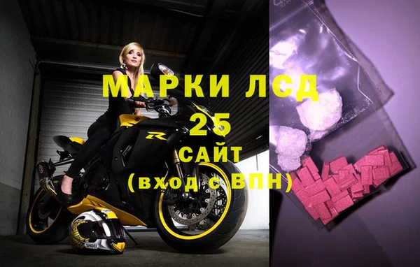 ГАЛЛЮЦИНОГЕННЫЕ ГРИБЫ Алексин