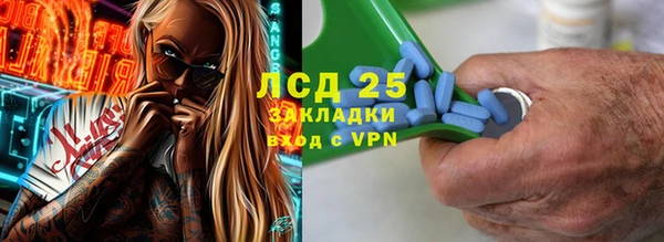 ГАЛЛЮЦИНОГЕННЫЕ ГРИБЫ Абаза