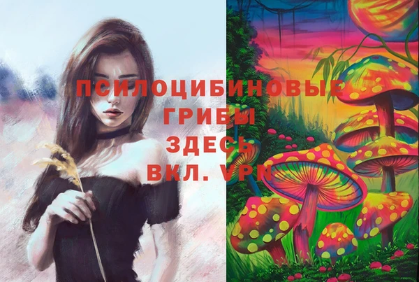 ГАЛЛЮЦИНОГЕННЫЕ ГРИБЫ Алексин