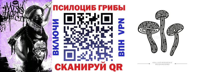 Галлюциногенные грибы Psilocybine cubensis  как найти закладки  Катайск 
